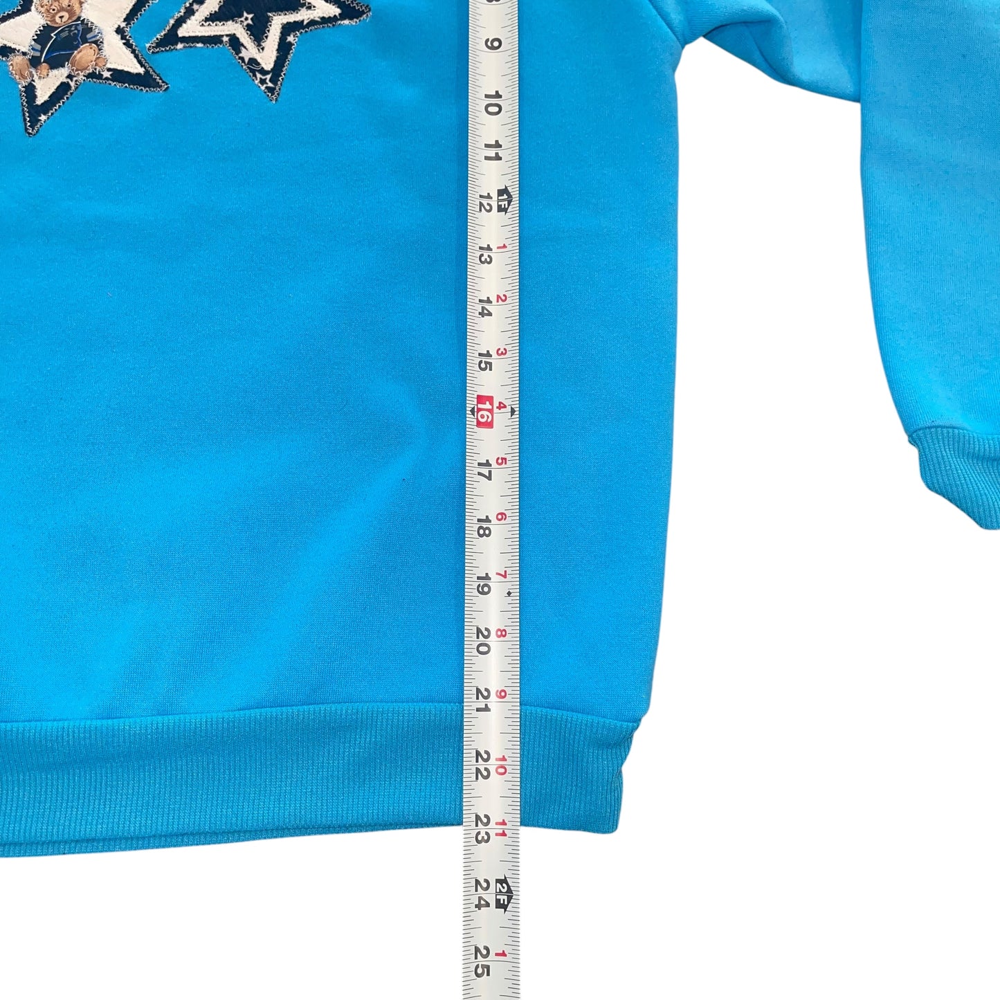 Carolina Panthers Upcycled NFL BEAR (S)