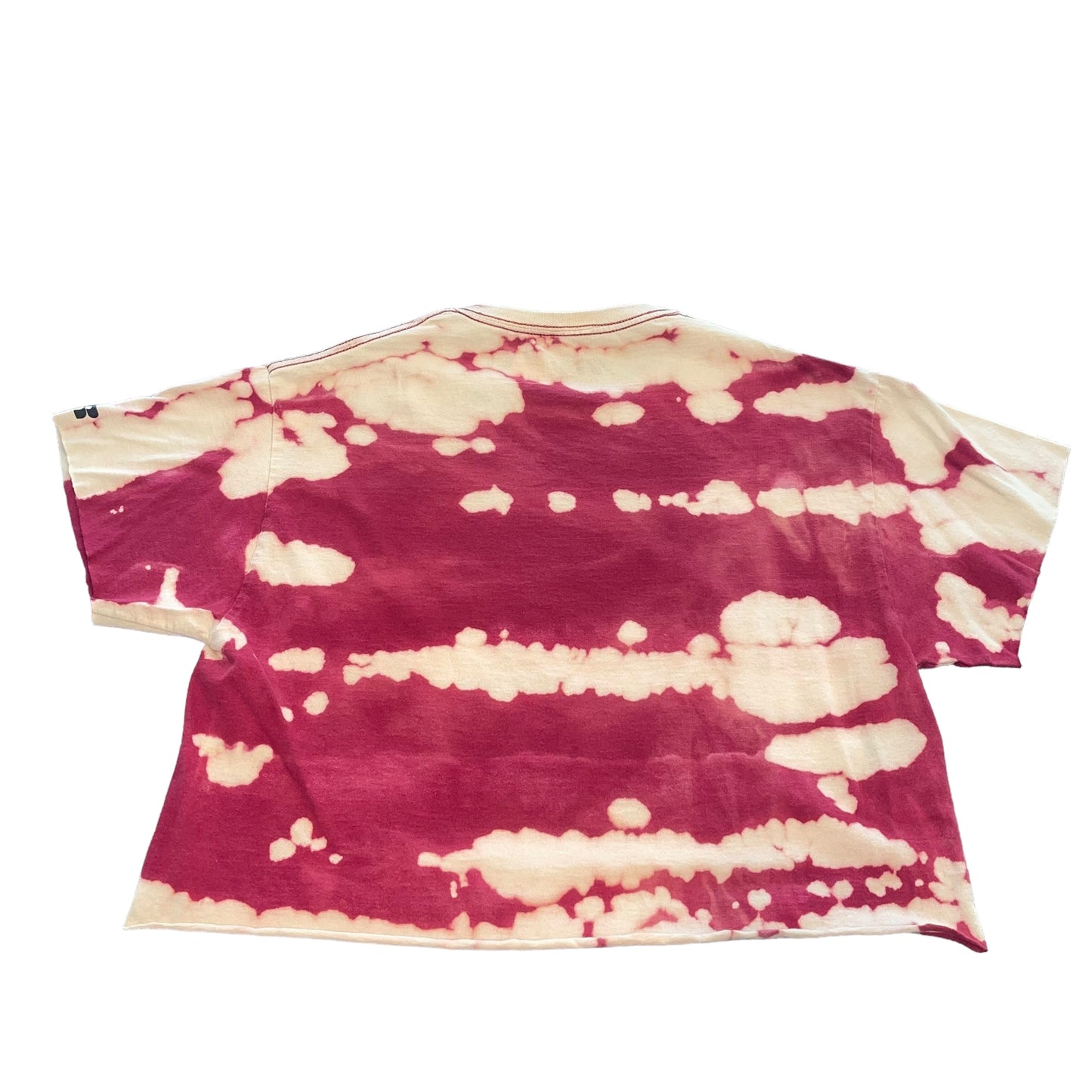 USC South Carolina Bleach Crop (M)