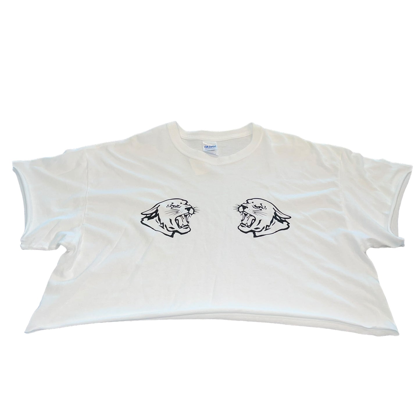 Carolina Panthers Crop (XL)