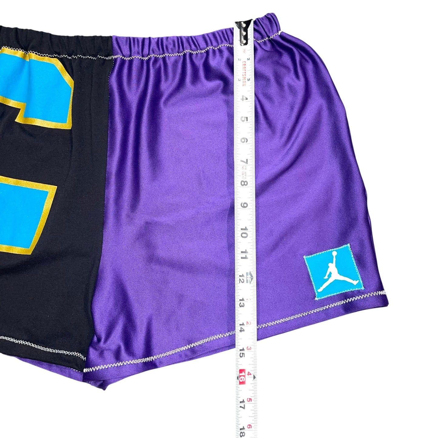 Charlotte Hornets Reversible Shorts (M/L)