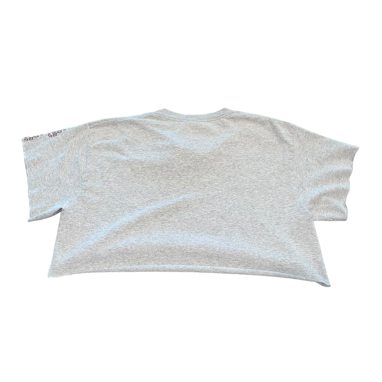 USC South Carolina Vintage Crop (M)