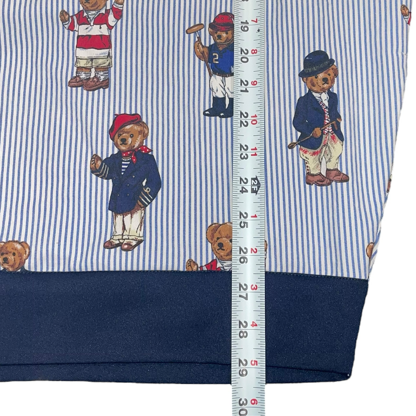 Polo Bear Color Block Hoodie (XL)