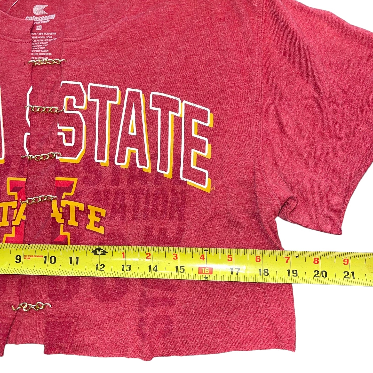 Iowa State Chain Link Crop (M)