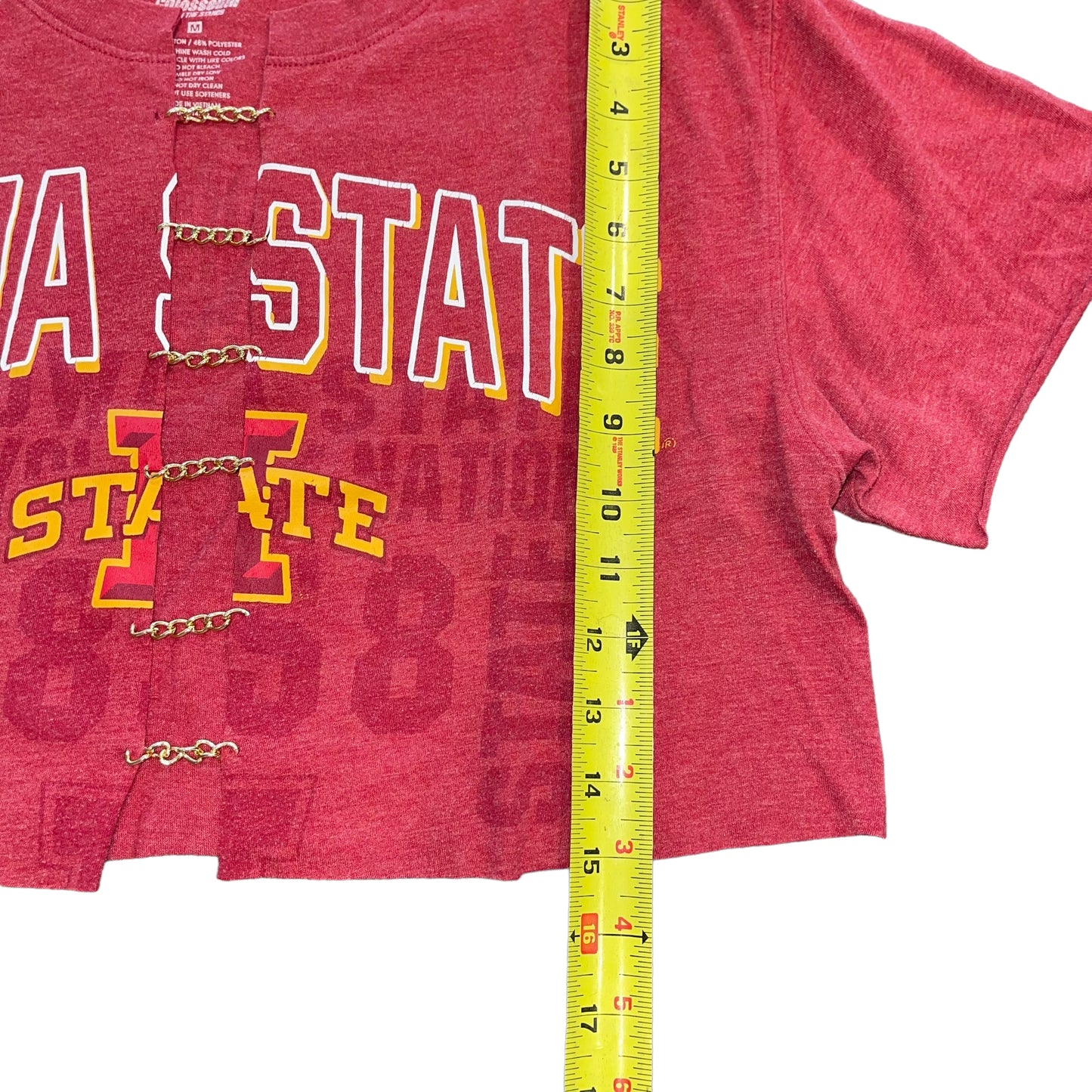 Iowa State Reworked Chain Link Crop (M)
