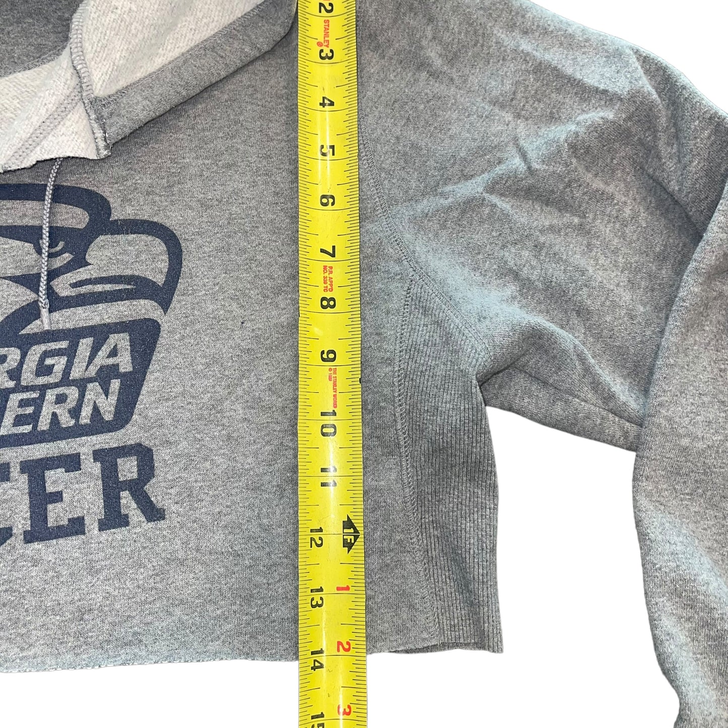 GSU Georgia Southern Cropped Hoodie (M)