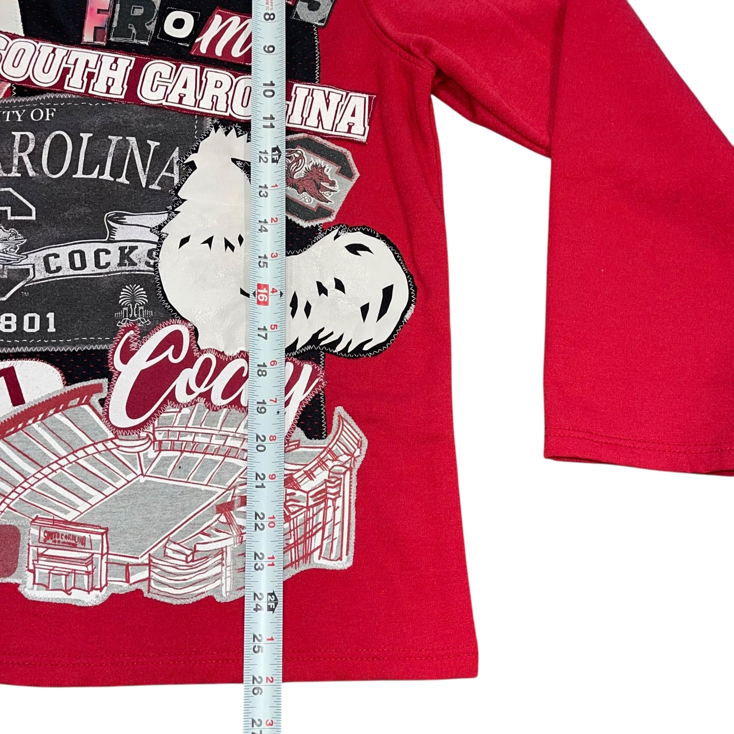 USC South Carolina Upcycled Greetings Post Card (M)