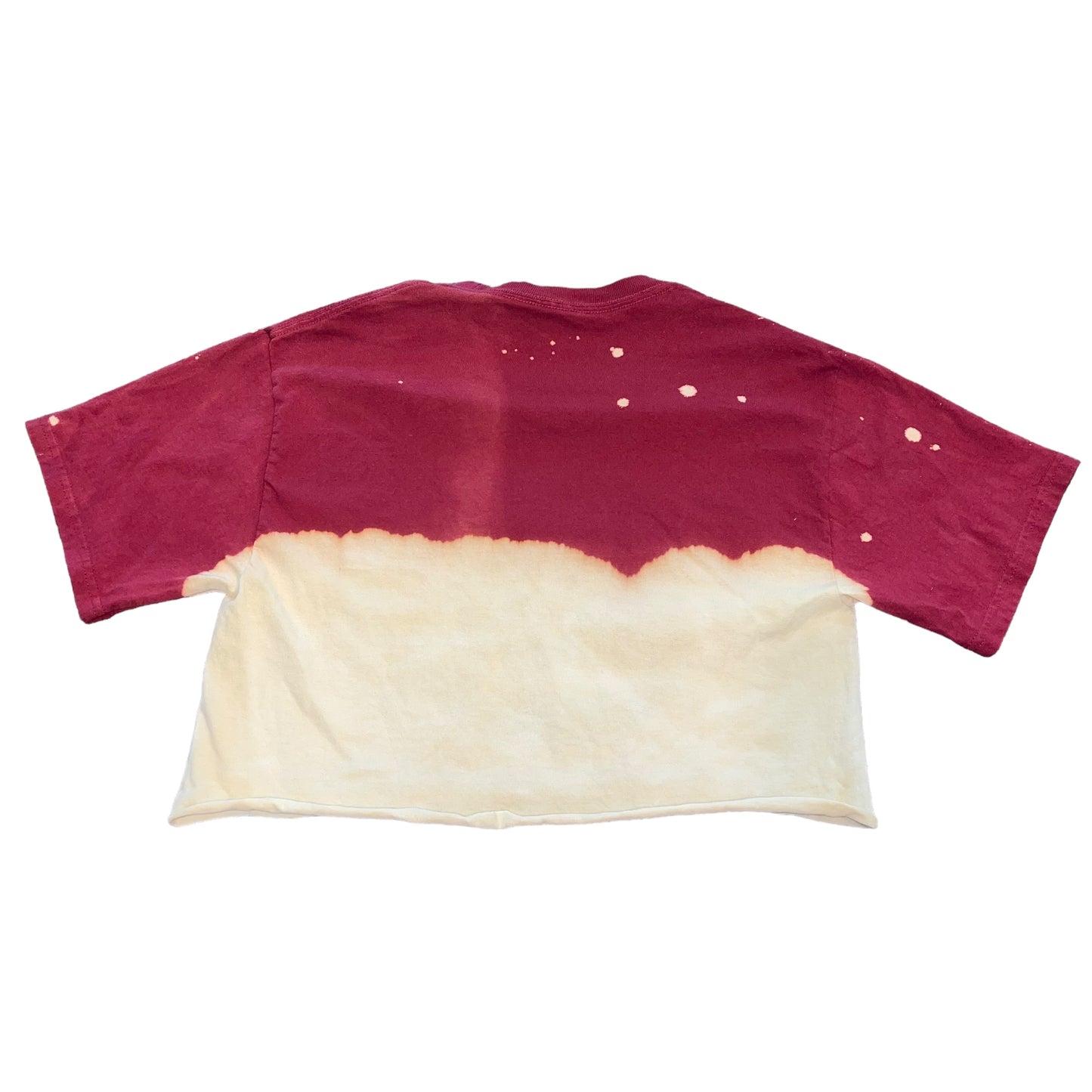 USC South Carolina Bleach Crop (S)