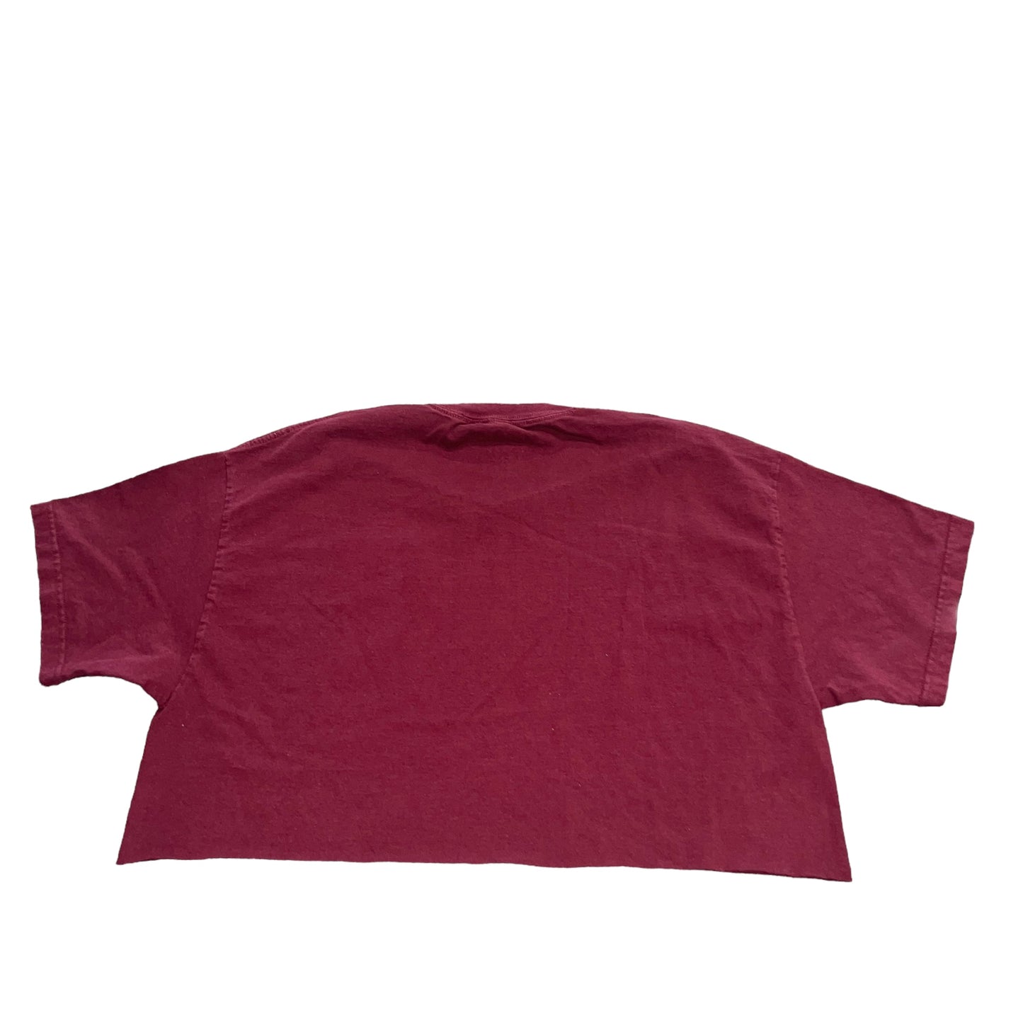 USC South Carolina Embroidered Crop (XL)
