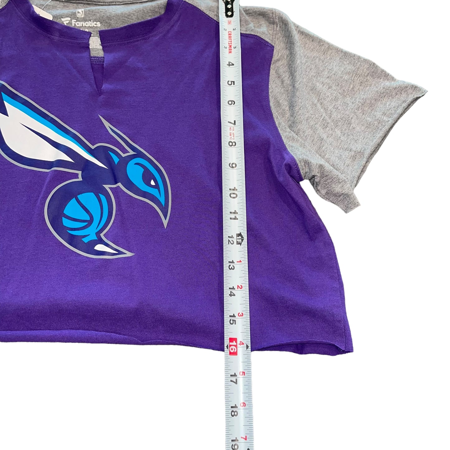 Charlotte Hornets Cropped Colorblock (L)