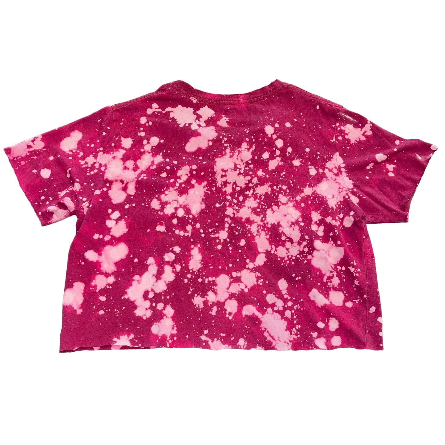 USC South Carolina Bleach Crop (M)