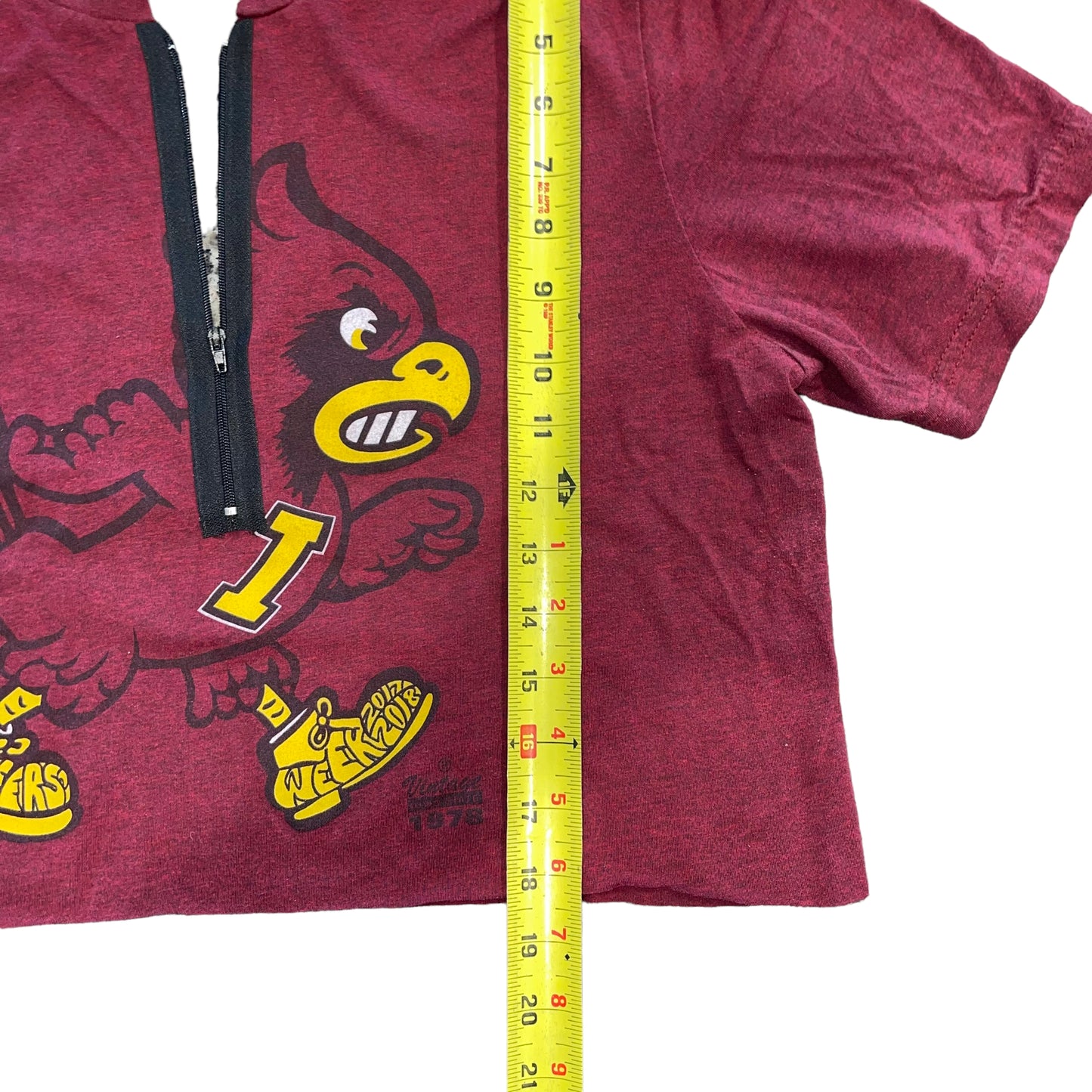 Iowa State Open Back Zip Crop (L)