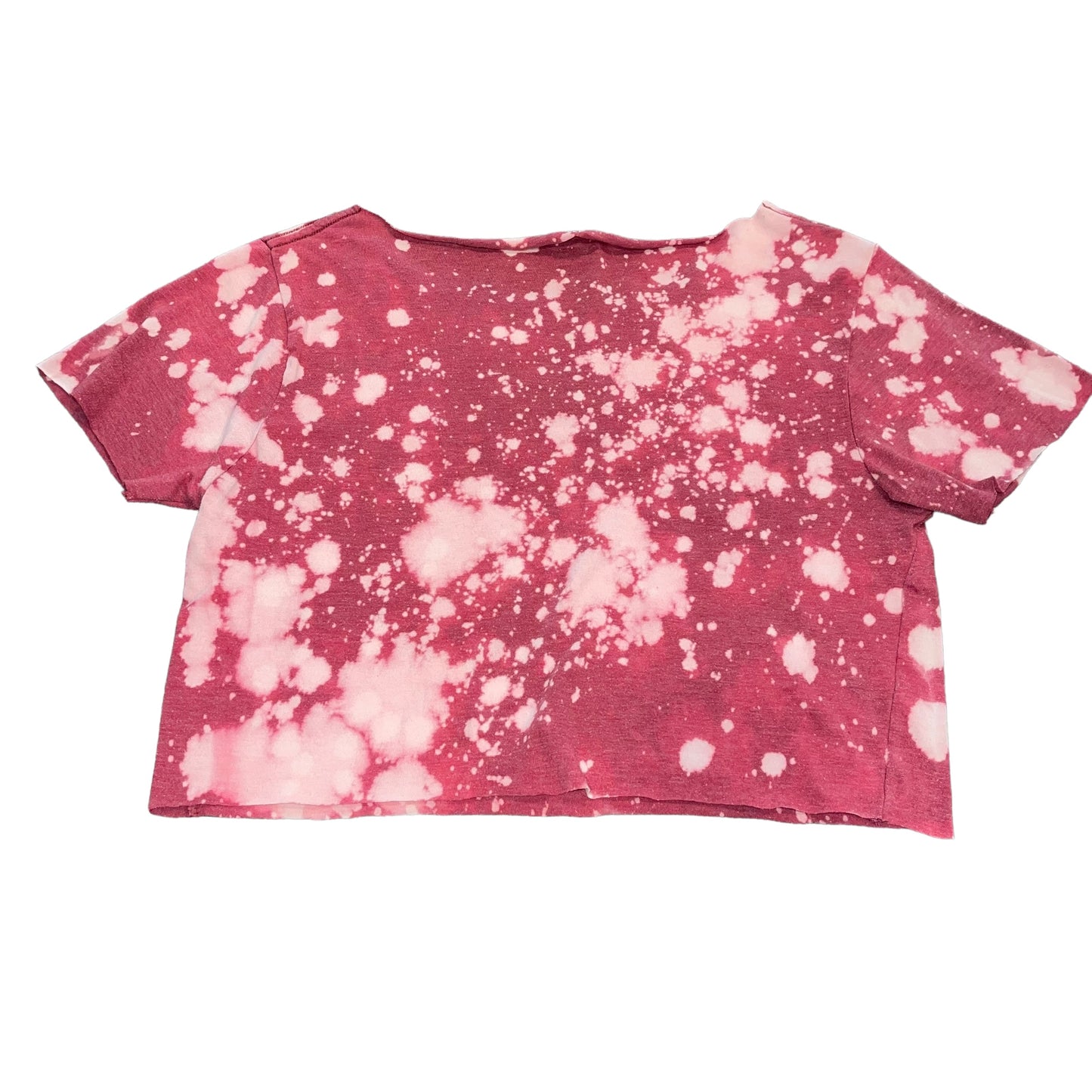 USC South Carolina Bleach Crop (S)