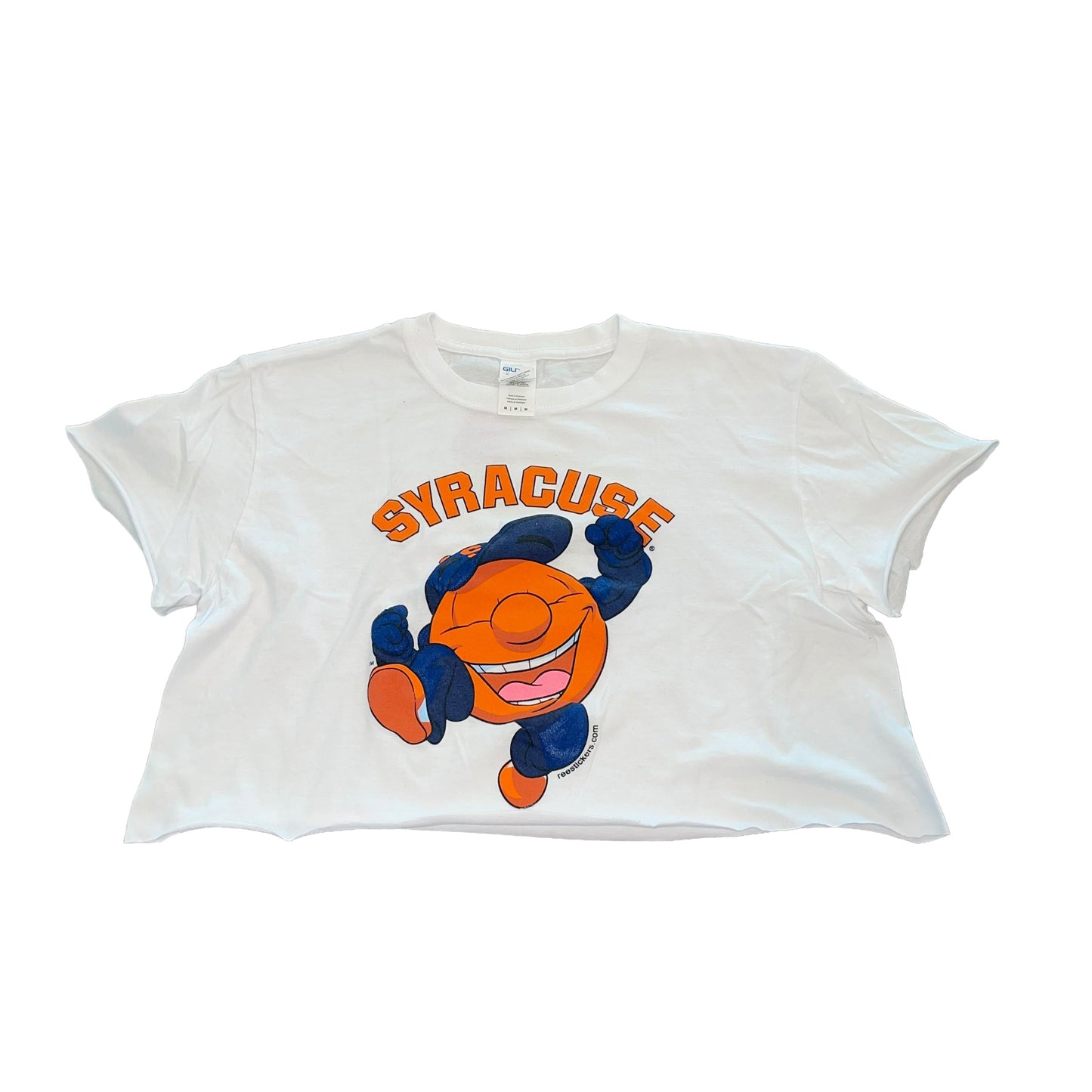 Syracuse Crop Top (M)