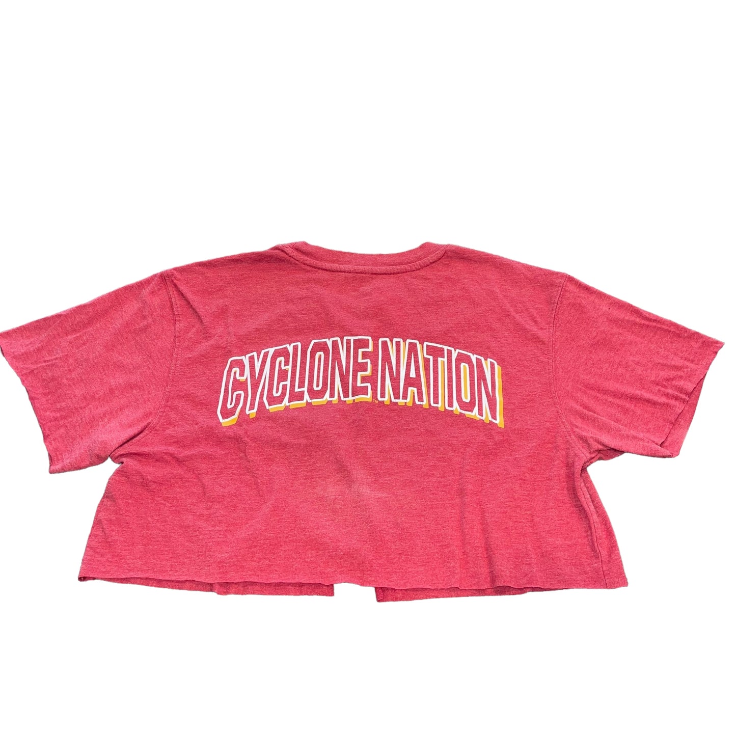 Iowa State Chain Link Crop (M)