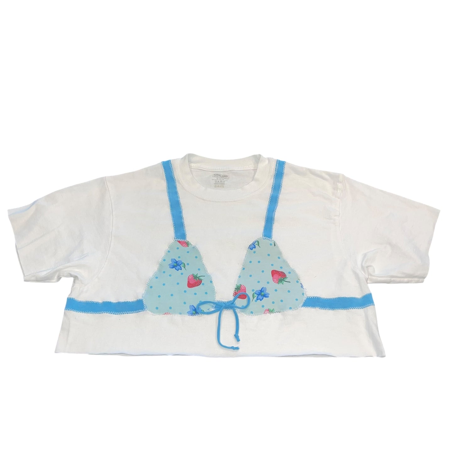 Earthbound - Bikini Strawberries (M)