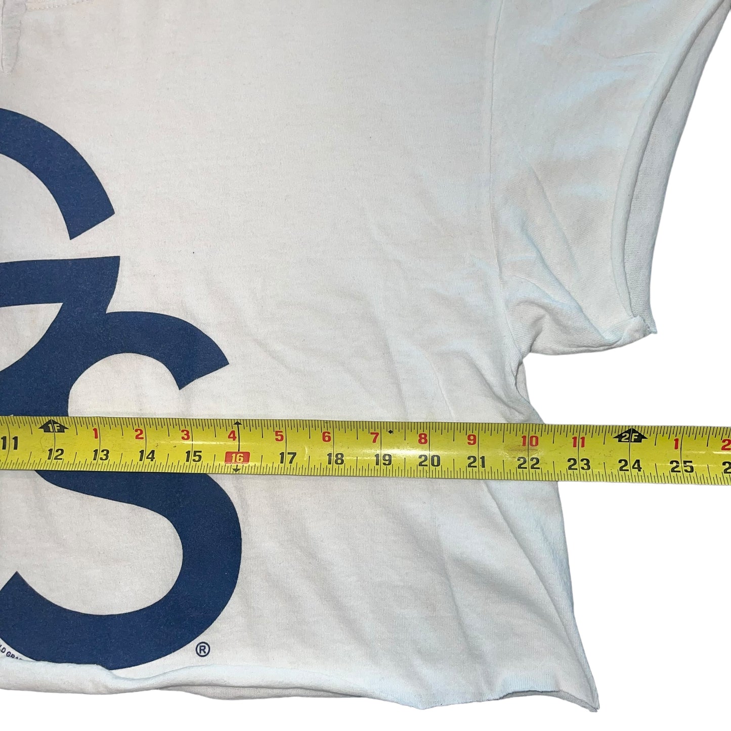 GSU Georgia Southern Crop (XL)
