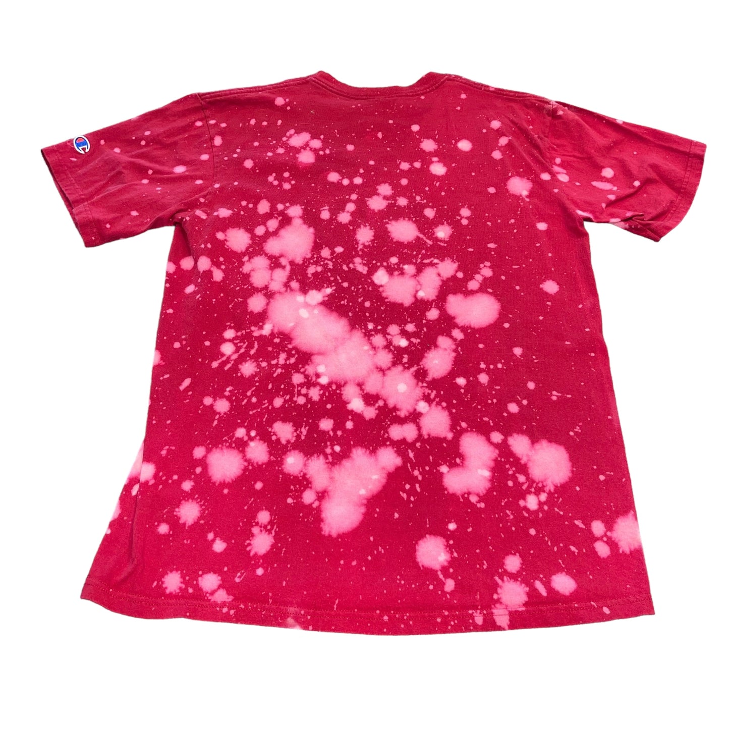 USC South Carolina Bleach Dad Tee (L)