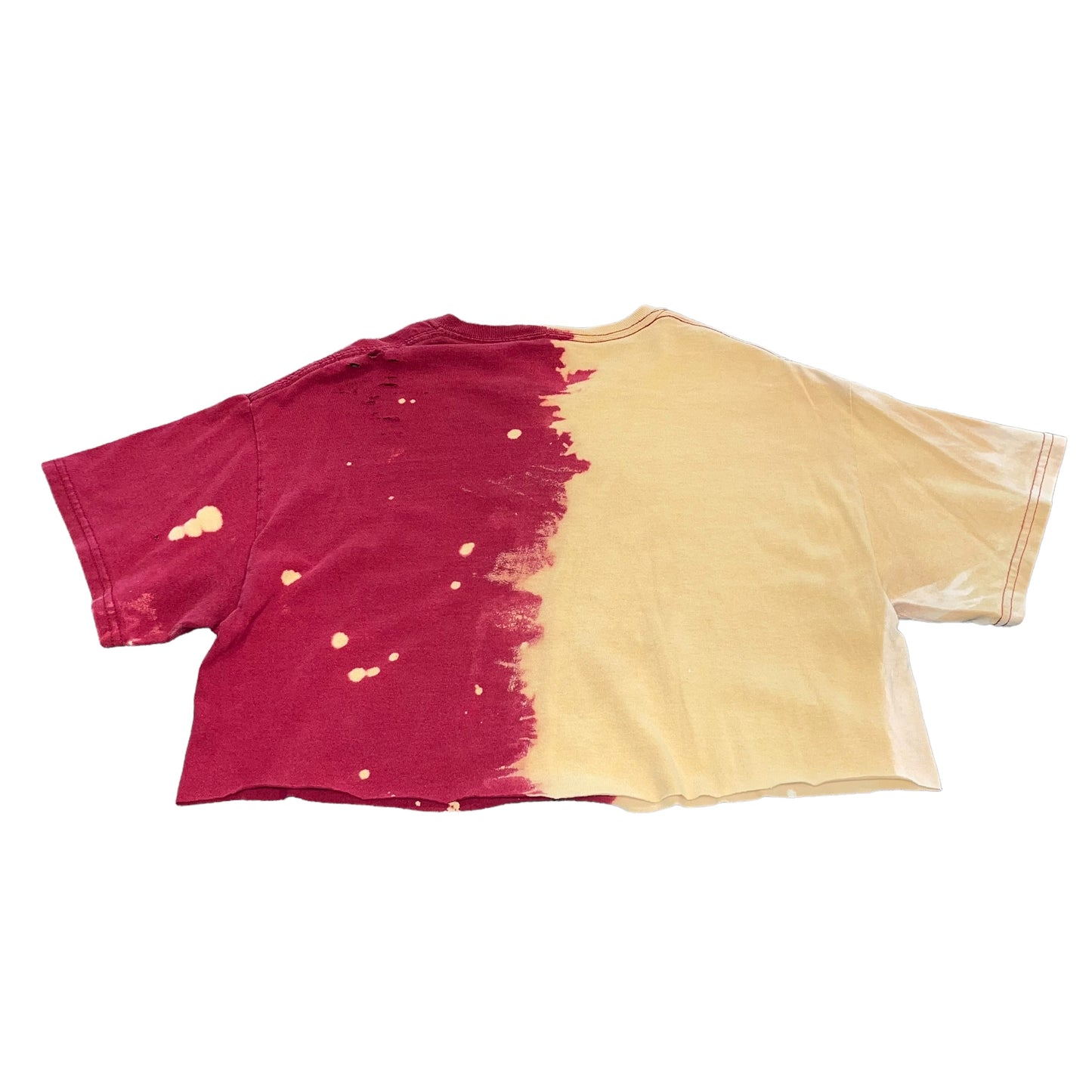 USC South Carolina Bleach/distressed Crop (M)