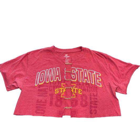 Iowa State Chain Link Crop (M)