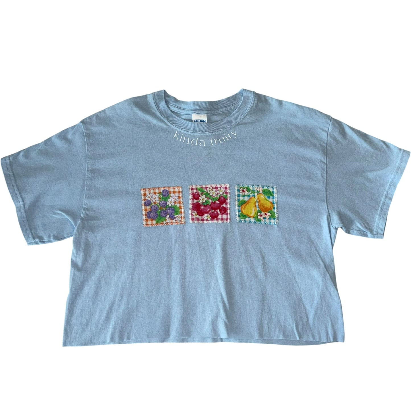 PRIDE-Kinda Fruity Light Blue Stamps (M)