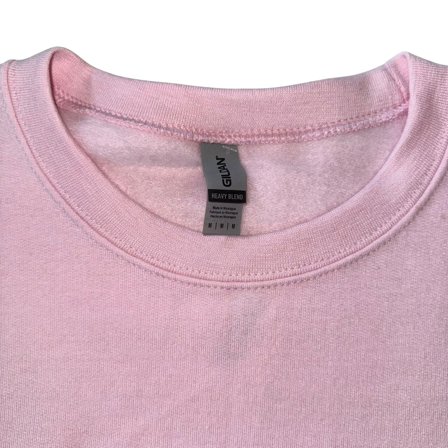 Just a Girl - Princess Group Pink on Pink (M)