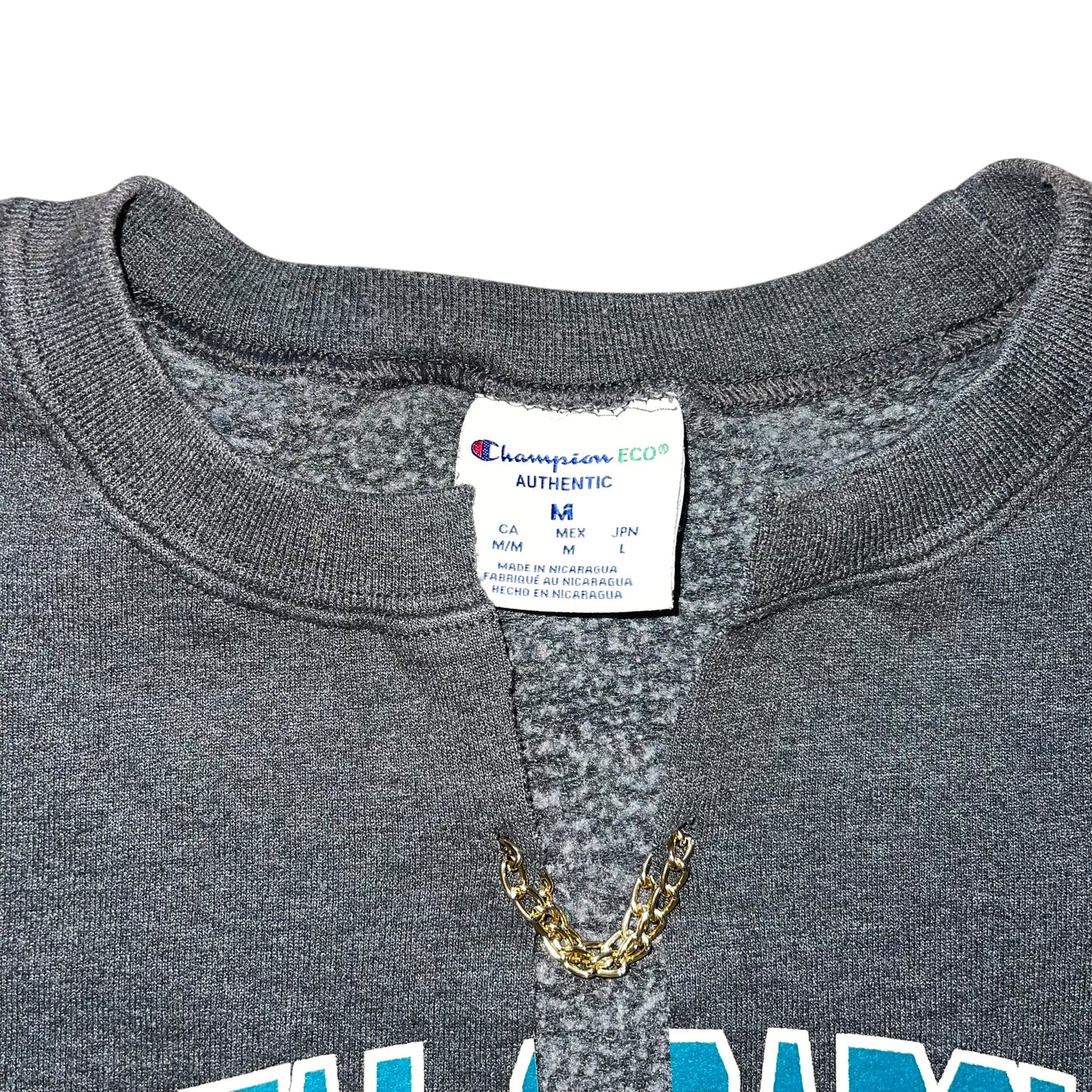 Coastal Carolina Reworked Chain Cropped Crew (M)