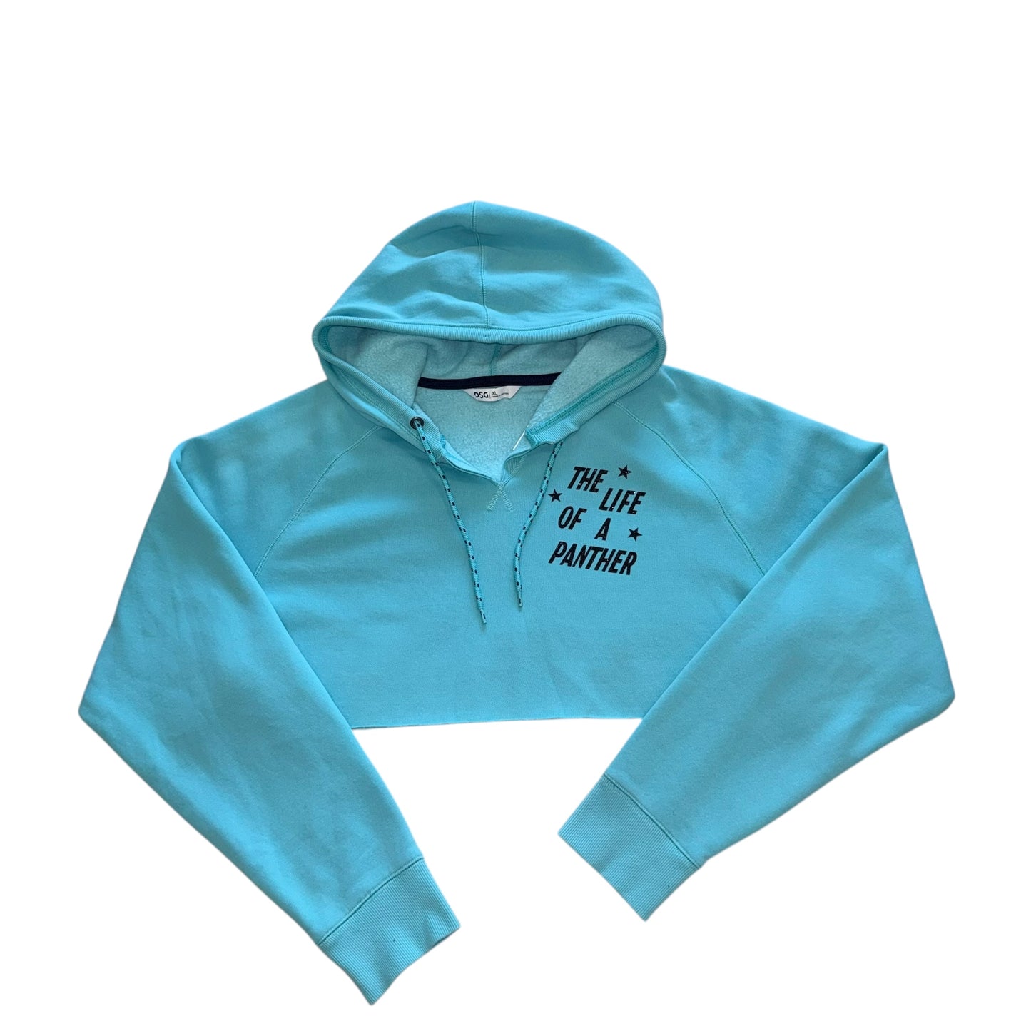 CLT - Life of a Panther Hoodie (XL)