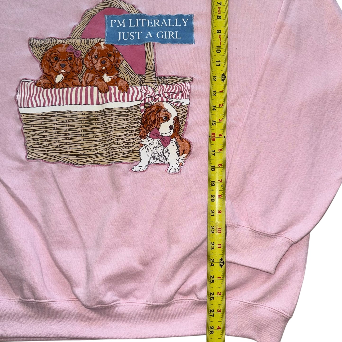 Just a Girl - Puppies in a Basket (XL)