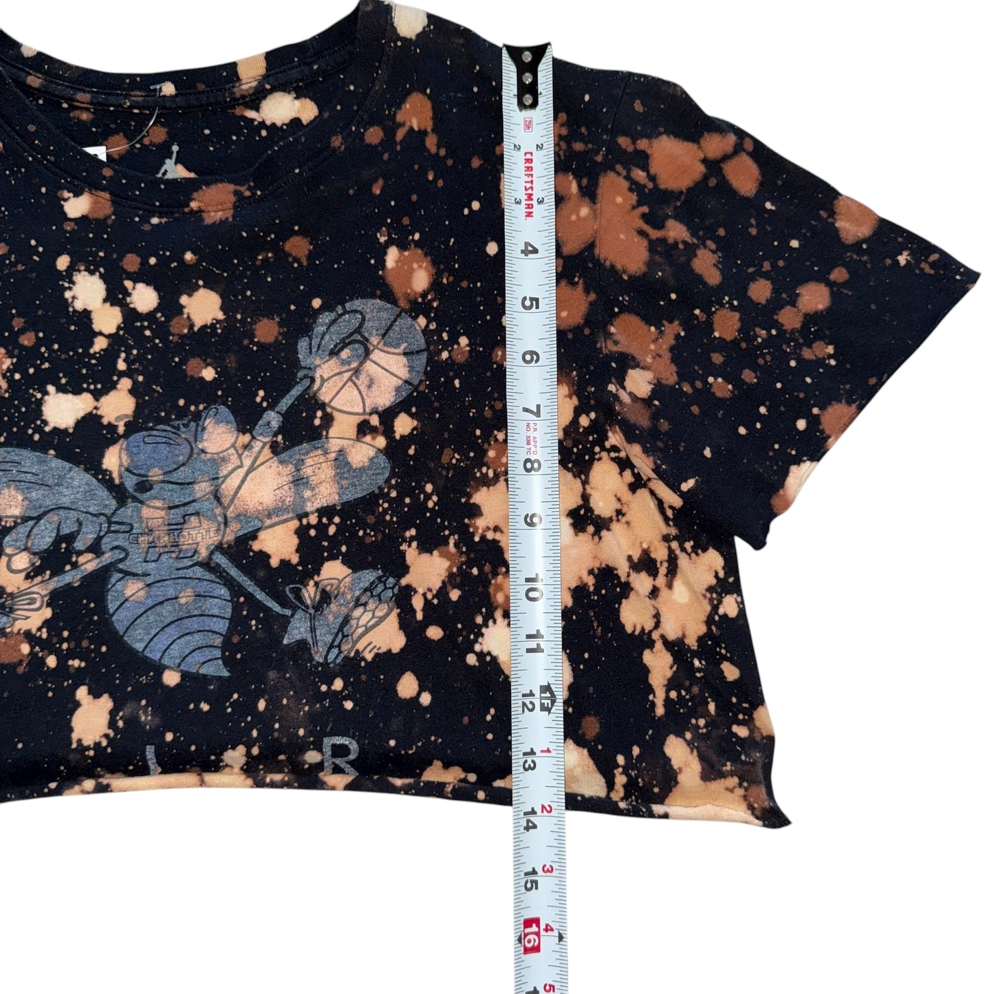 CLT - Hornets Reworked Bleach Crop (M)