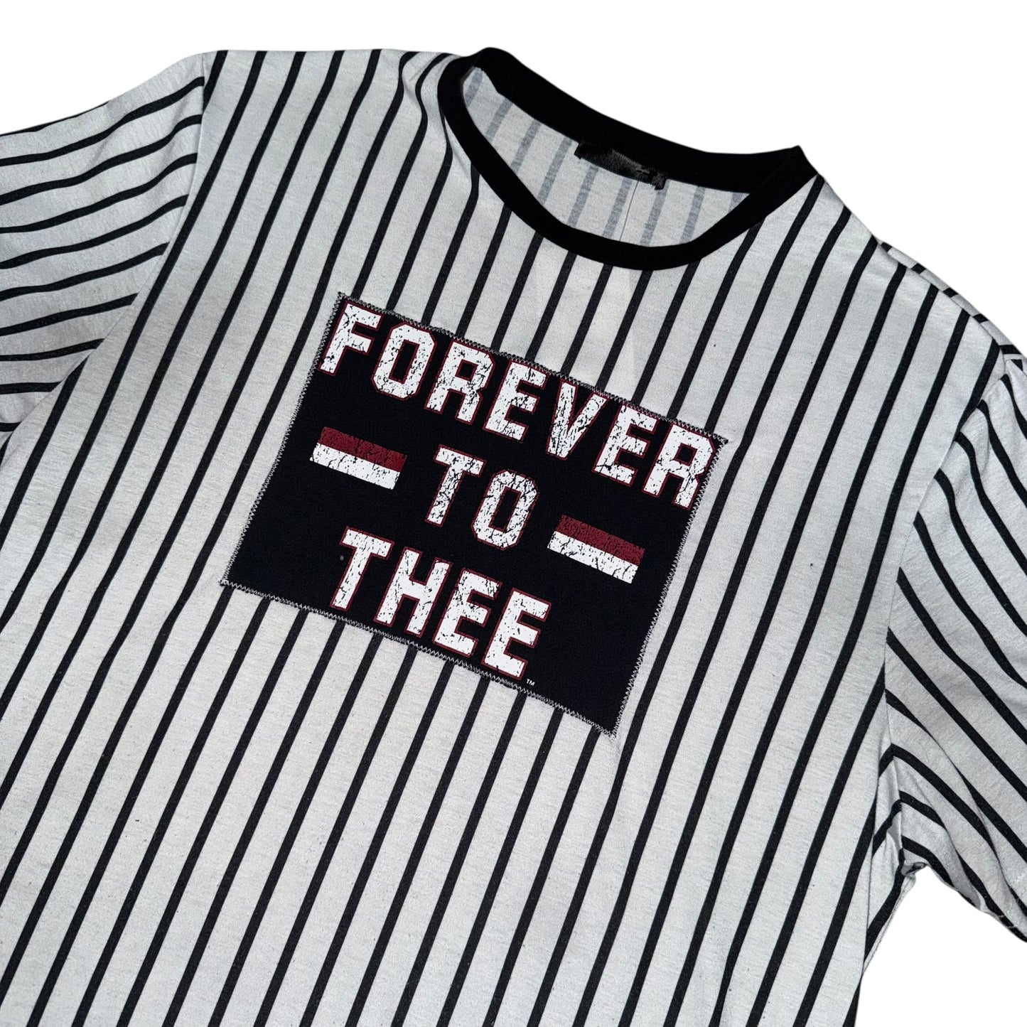 USC South Carolina Upcycled Patch Tee (L)