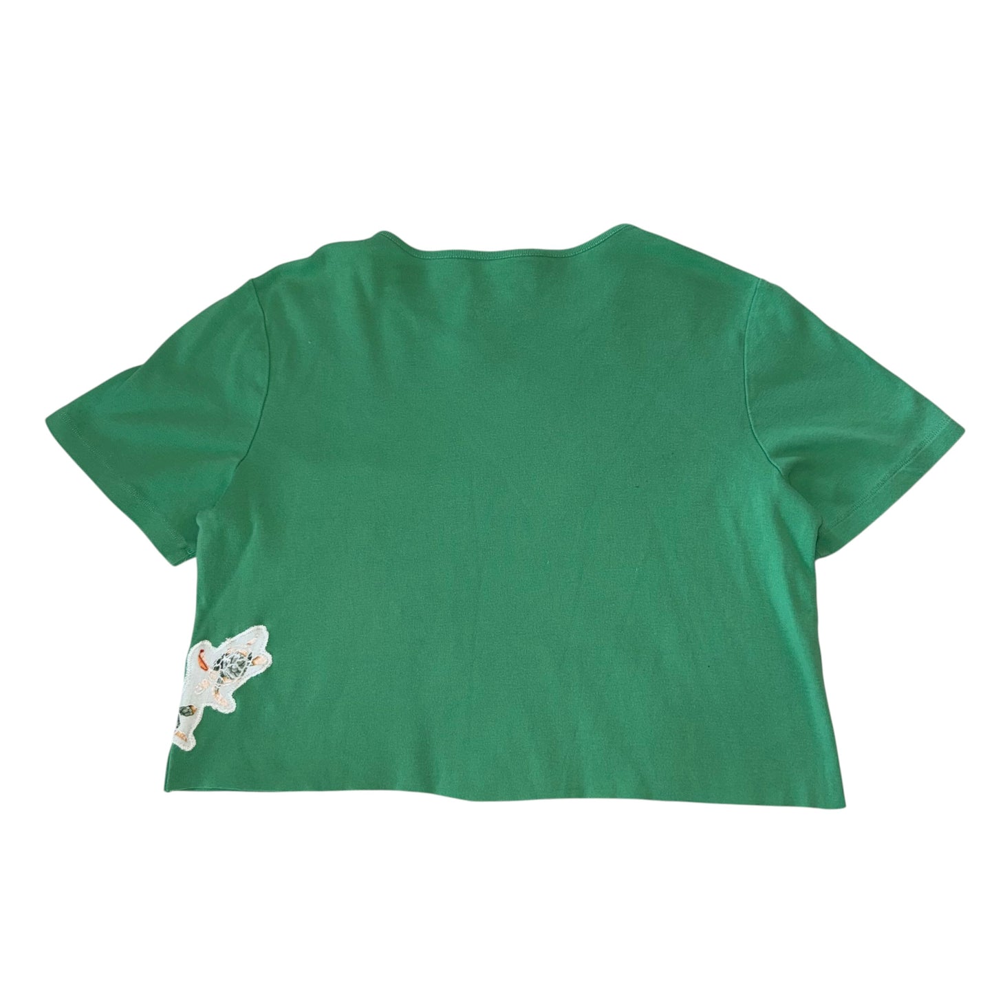 Earthbound - Sea Turtle Crop (L)