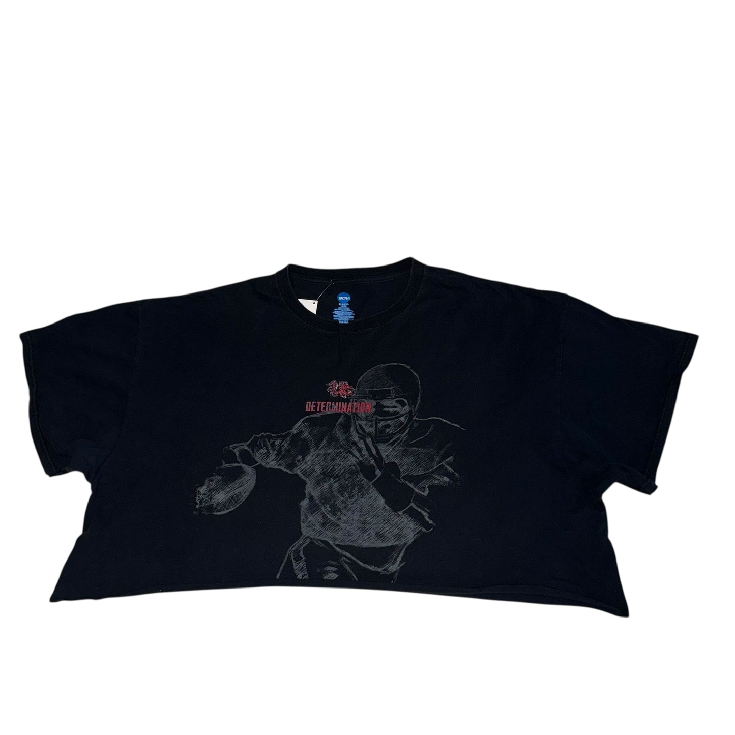 USC South Carolina Reworked FB crop (3XL)