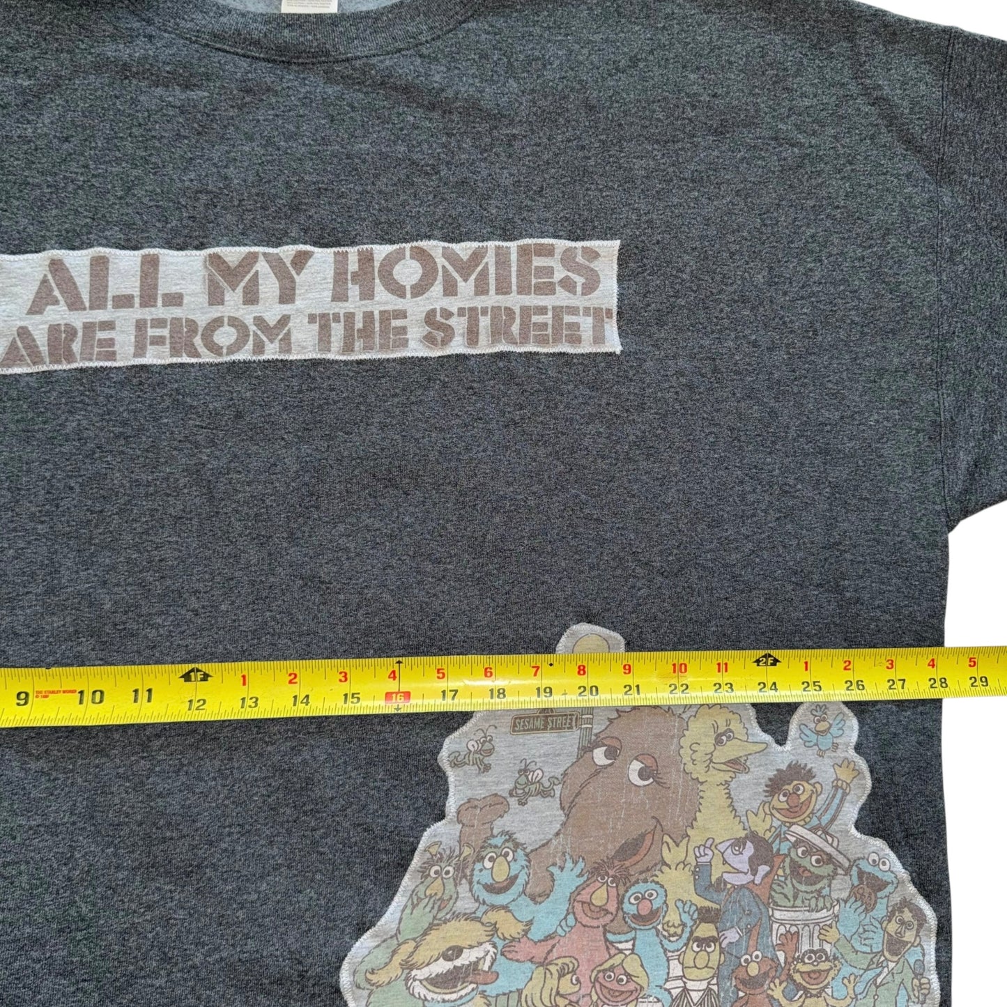 Sesame Street Sweatshirt (3X)