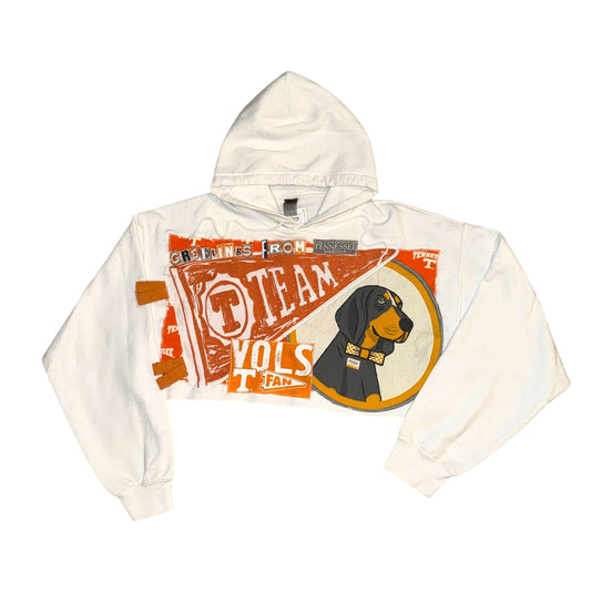 UT Tennessee Reworked Post Card (L)