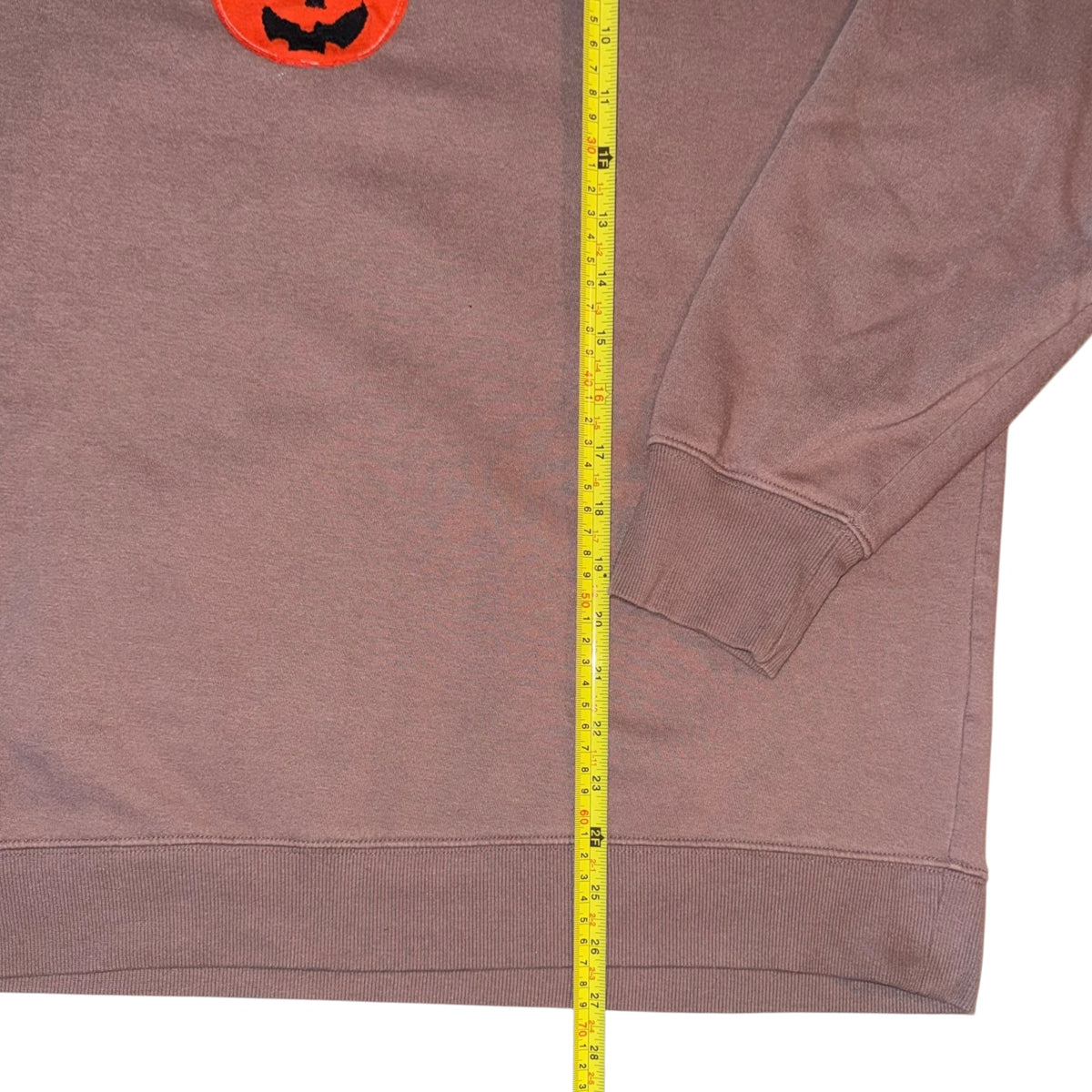 Spooky - Mini Pumpkin Pail Sweatshirt (L/XL)
