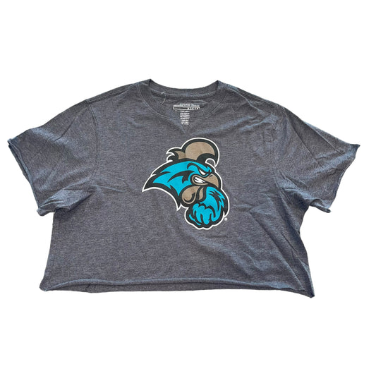 Coastal Carolina Crop Top (M)