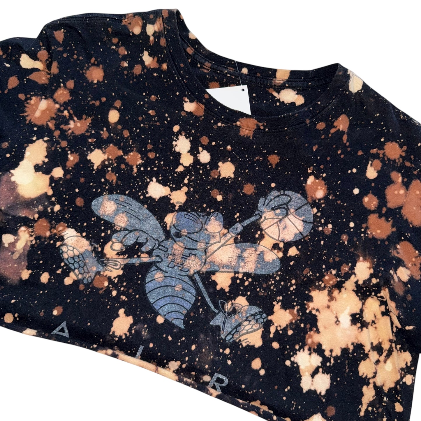 CLT - Hornets Reworked Bleach Crop (M)