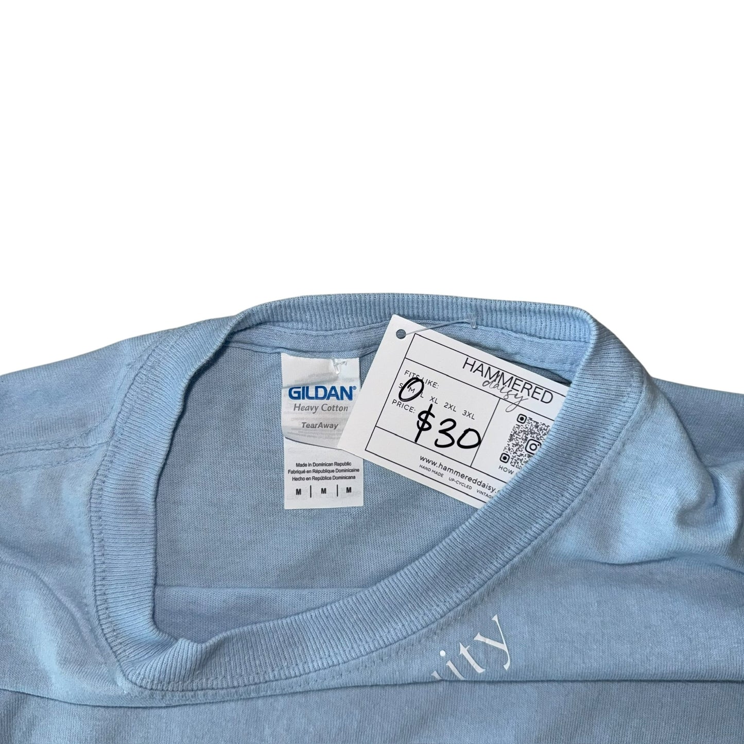 PRIDE-Kinda Fruity Light Blue Stamps (M)
