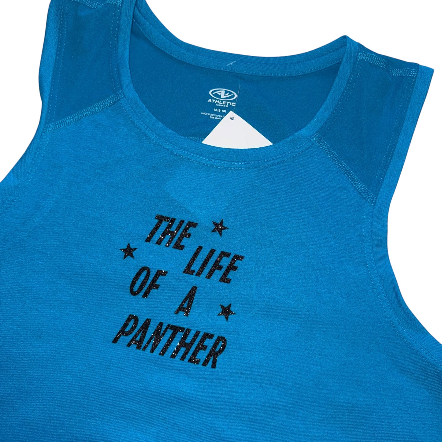 CLT - Life of a Panther Tank (M)