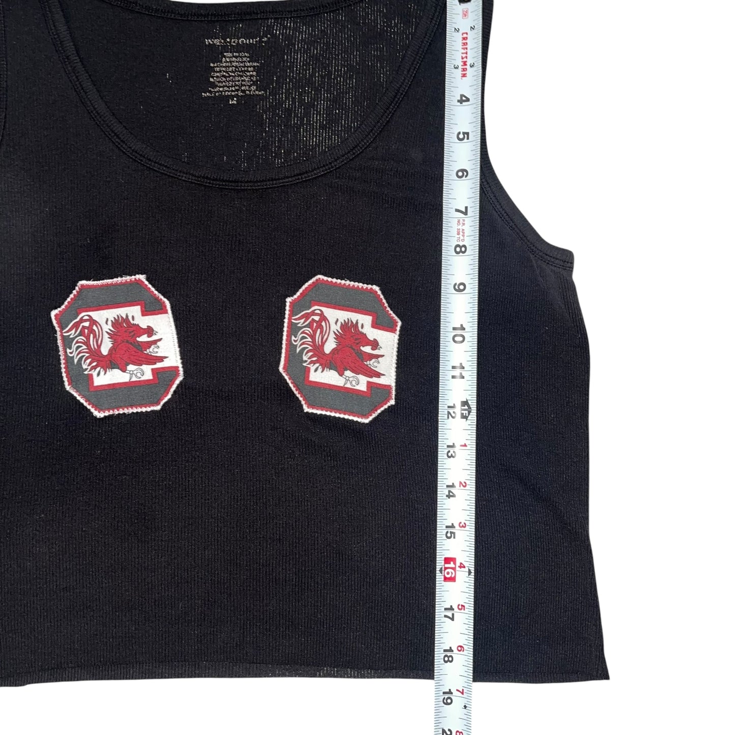 USC South Carolina Double Logo Crop (L/XL)