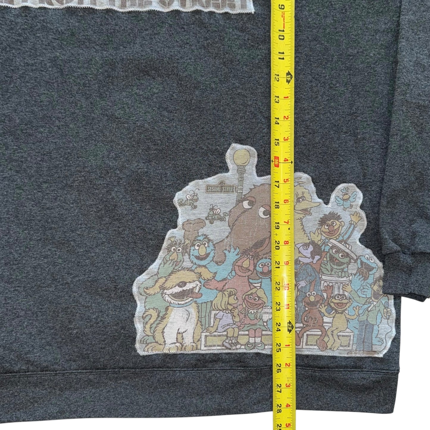 Sesame Street Sweatshirt (3X)